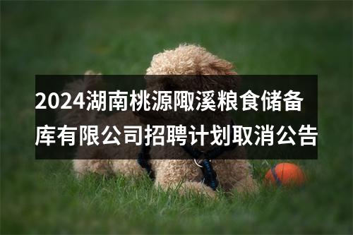 2024湖南桃源陬溪粮食储备库有限公司招聘计划取消公告 图片
