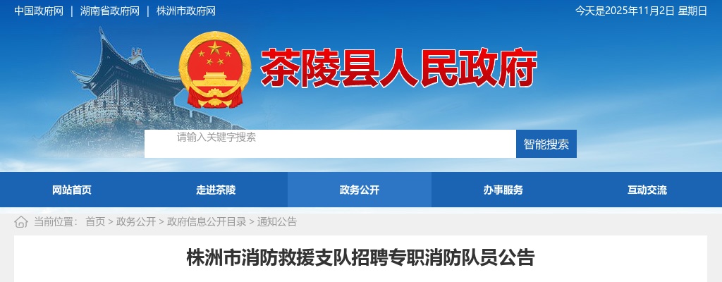 2025湖南株洲市消防救援支队招聘50名专职消防队员公告 图片