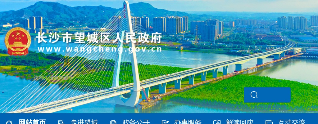 2024湖南长沙市望城区人民医院招聘编外合同制人员14人公告 图片